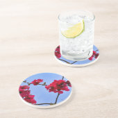 セイヨウカエノメエ コースター (側面)