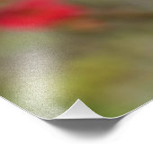 セイヨウカエノメエ フォトプリント            (角)