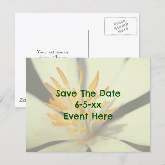 セイヨウカタクリの花 Save The Date 案内ポストカード (正面/裏面)