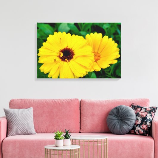 セイヨウキンキン キャンバスプリント (インサイチュ (リビング))