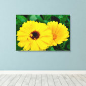 セイヨウキンキン キャンバスプリント (インサイチュ (ウッドフロア))