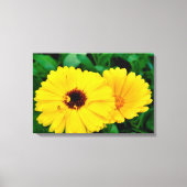 セイヨウキンキン キャンバスプリント (正面)