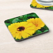 セイヨウキンキン コースター (左側)