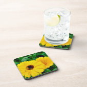 セイヨウキンキン コースター (右側)