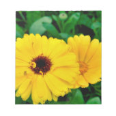 セイヨウキンキン ノートパッド (正面)