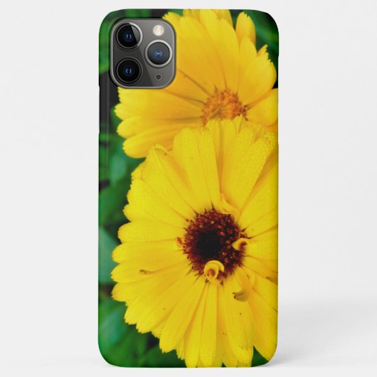 セイヨウキンキン Case-Mate iPhoneケース (裏面)