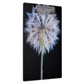 セイヨウタンポポ (Taraxacum Officinale) の綿毛 クリップボード (右)