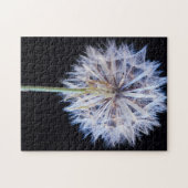セイヨウタンポポ (Taraxacum Officinale) 綿毛 ジグソーパズル (横)