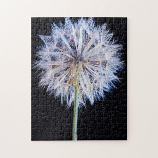 セイヨウタンポポ (Taraxacum Officinale) 綿毛 ジグソーパズル (縦)