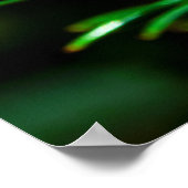 セイヨウトカゲ ポスター (角)