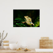 セイヨウトカゲ ポスター (キッチン)