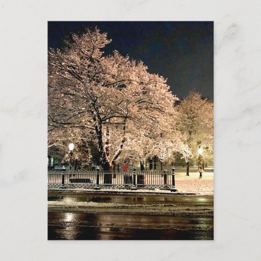 セイラム・コモンズの夜の吹雪 マサチューセッツ州 写真 ポストカード (正面)