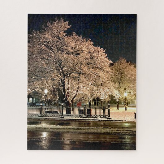 セイラム・コモン(マサチューセッツ州)の夜の吹雪の写真 ジグソーパズル (縦)