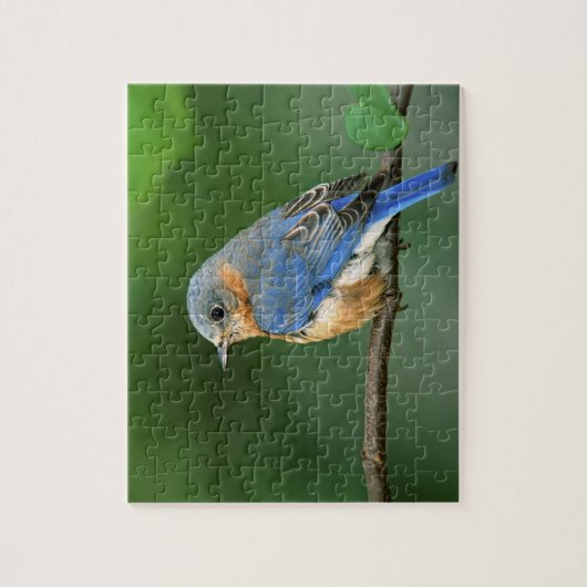 セイリア・シアリスの東のメスのブルーバード ジグソーパズル (縦)