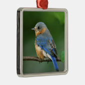 セイリア・シアリスの東のメスのブルーバード メタルオーナメント (右)