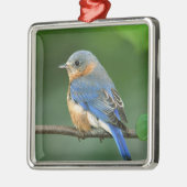 セイリア・シアリスの東のメスのブルーバード メタルオーナメント (左)