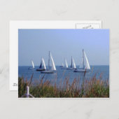 セイルズオンザチェサピーク ポストカード (正面/裏面)