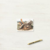 セイSquirrel女の子ペットGiftssquirrelフィーダー ポストイット (デスク上)