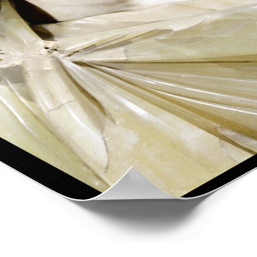 セウェルス皇帝のバスト ポスター (角)