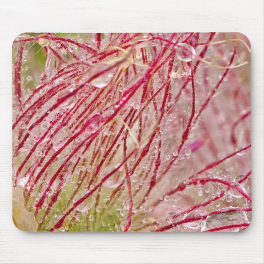 セオドアでの大草原の煙 マウスパッド (正面)