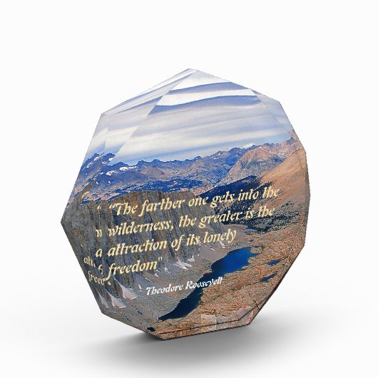 セオドア・ルーズベルトの引用 フォトブロック (左)