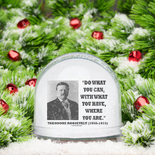 セオドア・ルーズベルトは今の場所でできることを行う