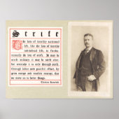 セオドア・ルーズベルトやる気を起こさせるポスター ポスター (正面)