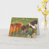 セオドア・ルーズベルト国立公園の野生の馬 カード (黄色い花)