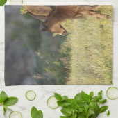 セオドア・ルーズベルト国立公園の野生の馬 キッチンタオル (折り畳み)