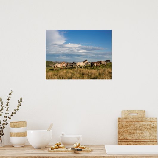 セオドア・ルーズベルト国立公園の野生の馬 ポスター (キッチン)