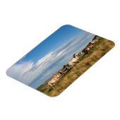 セオドア・ルーズベルト国立公園の野生の馬 マグネット (左側)