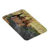 セオドア・ルーズベルト国立公園の野生の馬 マグネット (右側)