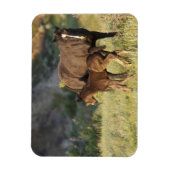 セオドア・ルーズベルト国立公園の野生の馬 マグネット (縦)