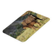 セオドア・ルーズベルト国立公園の野生の馬 マグネット (左側)