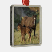 セオドア・ルーズベルト国立公園の野生の馬 メタルオーナメント (右)