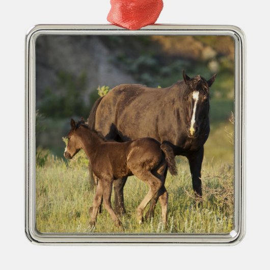 セオドア・ルーズベルト国立公園の野生の馬 メタルオーナメント (正面)