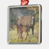 セオドア・ルーズベルト国立公園の野生の馬 メタルオーナメント (左)