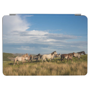 セオドア・ルーズベルト国立公園の野生の馬 iPad AIR カバー