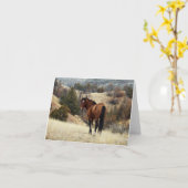 セオドア・ルーズベルト国立公園フェラル・ホースND カード (黄色い花)