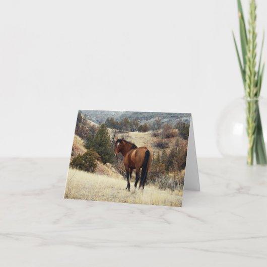 セオドア・ルーズベルト国立公園フェラル・ホースND カード (正面)