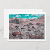 セオドア・ルーズベルト国立公園 – ノースダコタ ポストカード (正面/裏面)