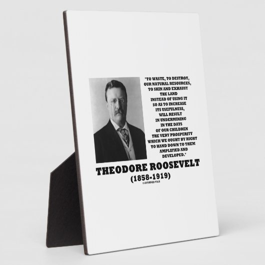 セオドア・ルーズベルト廃棄物天然資源を破壊 フォトプラーク (側面)