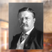 セオドア・ルーズベルト・テディ共和党 ウィンドウサイン (シート2)