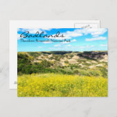 セオドア・ルーズベルト・バッドランドNDポストカード ポストカード (正面/裏面)