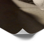 セオドア・ルーズベルト、第26代米国大統領 ポスター (角)