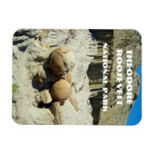 セオドア・ルーズベルトNP マグネット (横)