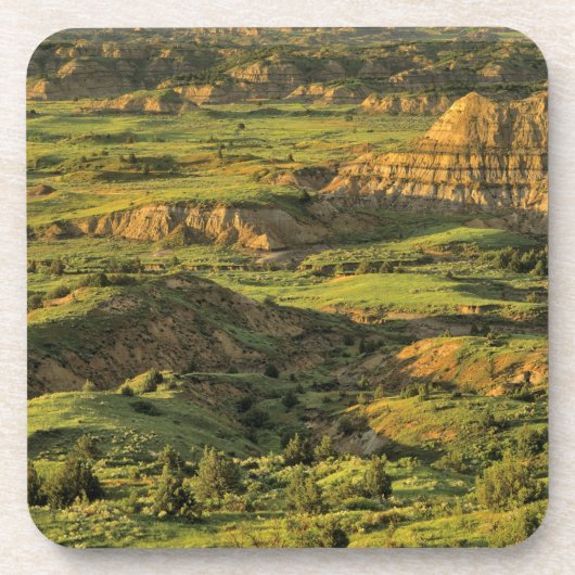 セオド色彩の鮮やかア·ルーズベルトの嵐の後の峡谷 コースター (正面)