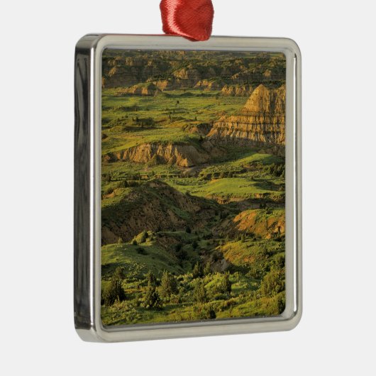 セオド色彩の鮮やかア·ルーズベルトの嵐の後の峡谷 メタルオーナメント (右)