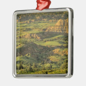 セオド色彩の鮮やかア·ルーズベルトの嵐の後の峡谷 メタルオーナメント (左)