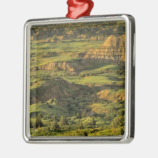 セオド色彩の鮮やかア·ルーズベルトの嵐の後の峡谷 メタルオーナメント (左)